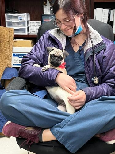 Mason Road Veterinary Clinic Community