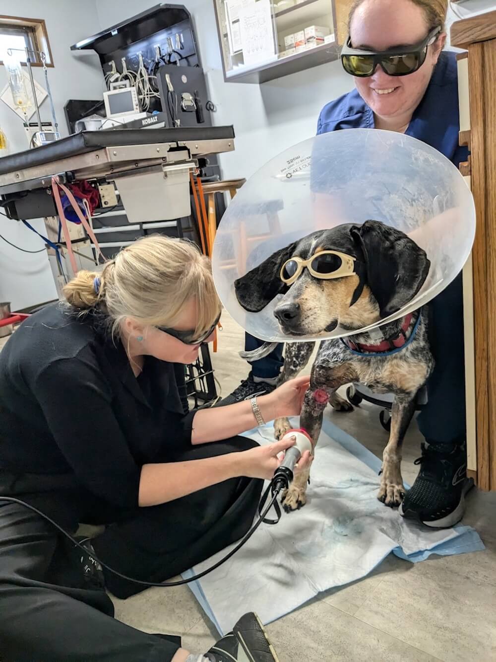 Mason Road Laser Therapy 1