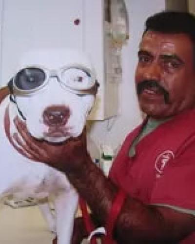 Raul