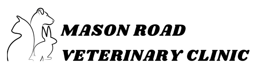 Mason Road Veterinary